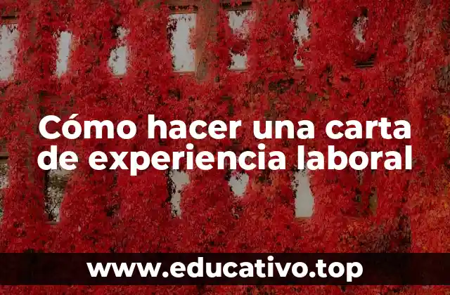 Cómo hacer una carta de experiencia laboral