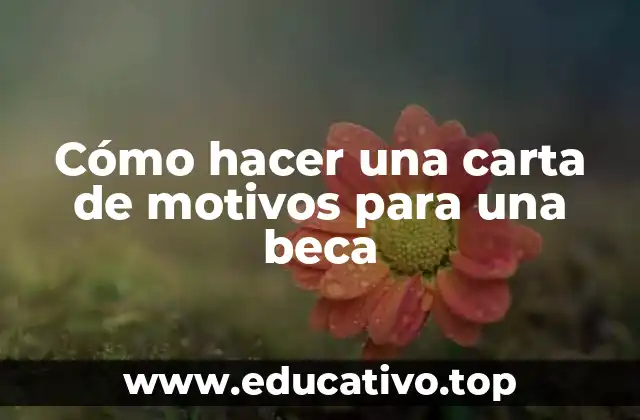 Cómo hacer una carta de motivos para una beca