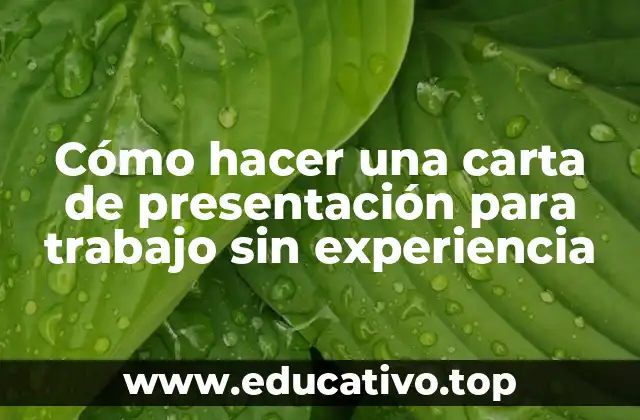 Cómo hacer una carta de presentación para trabajo sin experiencia