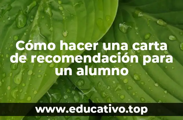 Cómo hacer una carta de recomendación para un alumno