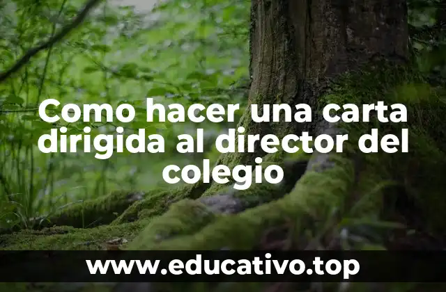 Como hacer una carta dirigida al director del colegio