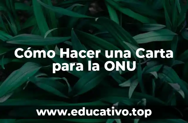 Cómo Hacer una Carta para la ONU