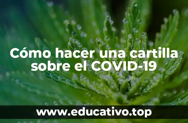 Cómo hacer una cartilla sobre el COVID-19