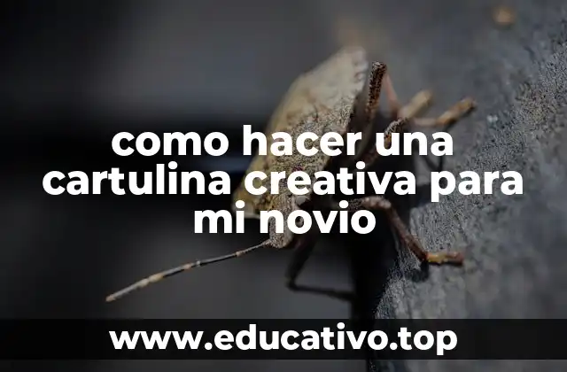 como hacer una cartulina creativa para mi novio