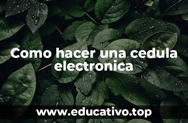 Como hacer una cedula electronica