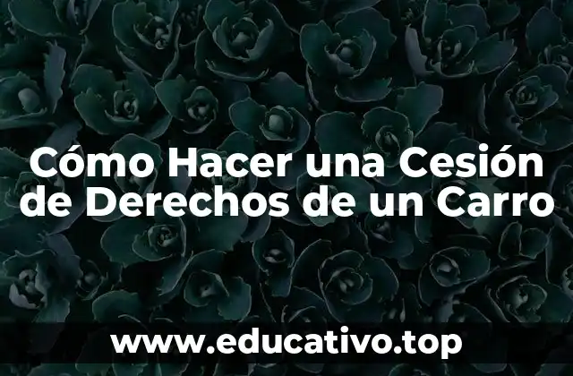 Cómo Hacer una Cesión de Derechos de un Carro