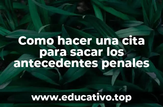 Como hacer una cita para sacar los antecedentes penales