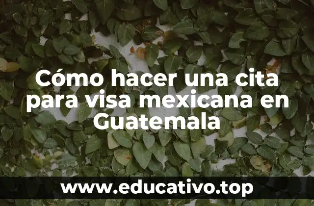 Cómo hacer una cita para visa mexicana en Guatemala