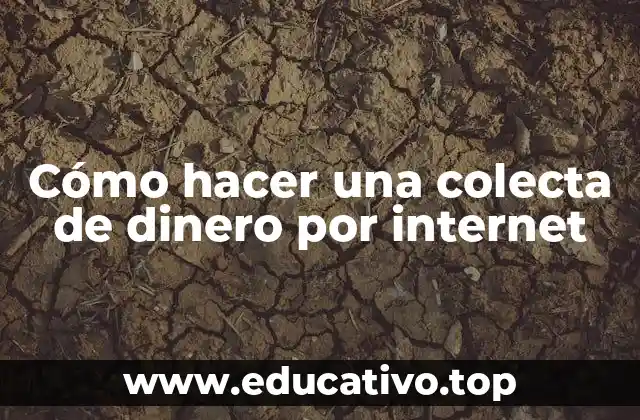 Cómo hacer una colecta de dinero por internet