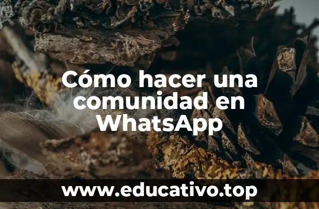 Cómo hacer una comunidad en WhatsApp