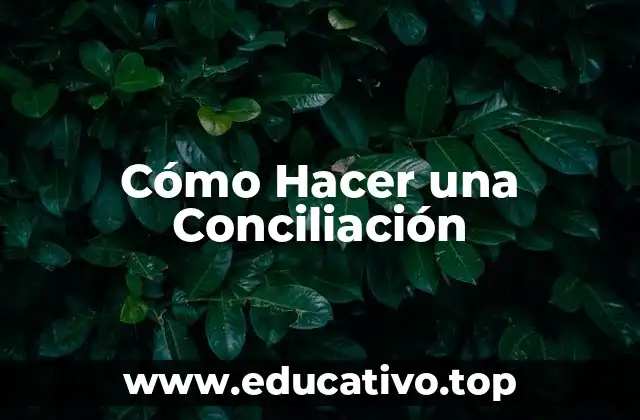 Cómo Hacer una Conciliación