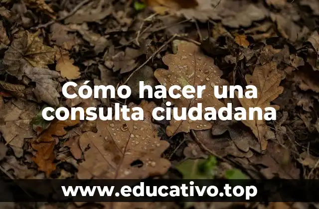 Cómo hacer una consulta ciudadana