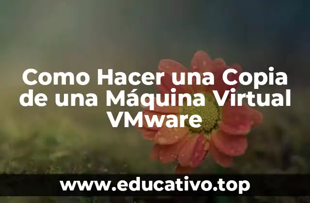 Como Hacer una Copia de una Máquina Virtual VMware