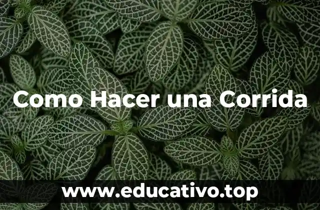 Como Hacer una Corrida
