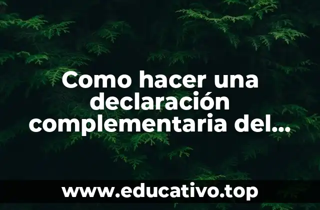 Como hacer una declaración complementaria del modelo 347