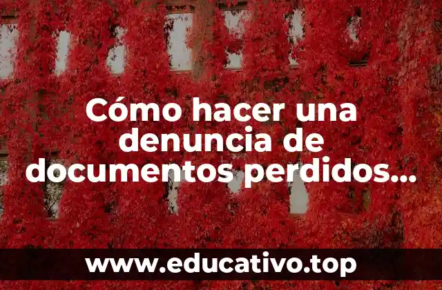 Cómo hacer una denuncia de documentos perdidos por internet