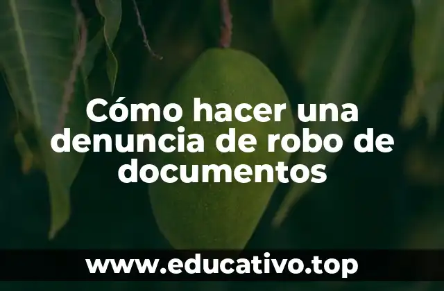 Cómo hacer una denuncia de robo de documentos
