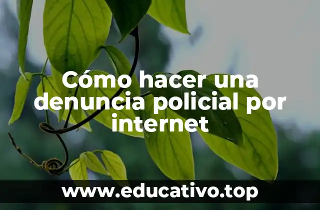 Cómo hacer una denuncia policial por internet