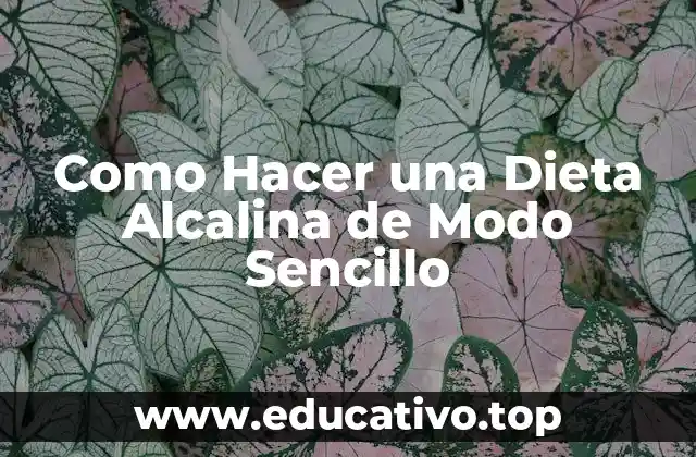 Como Hacer una Dieta Alcalina de Modo Sencillo