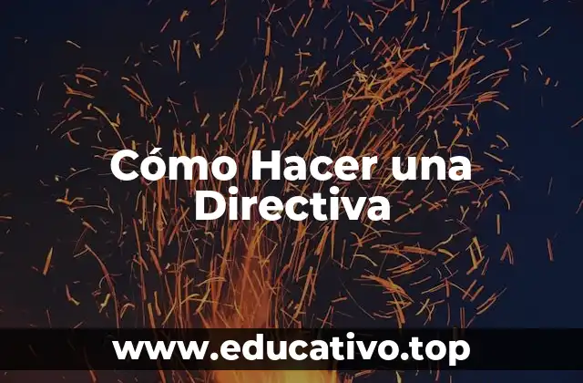 Cómo Hacer una Directiva