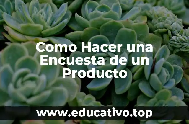 Como Hacer una Encuesta de un Producto