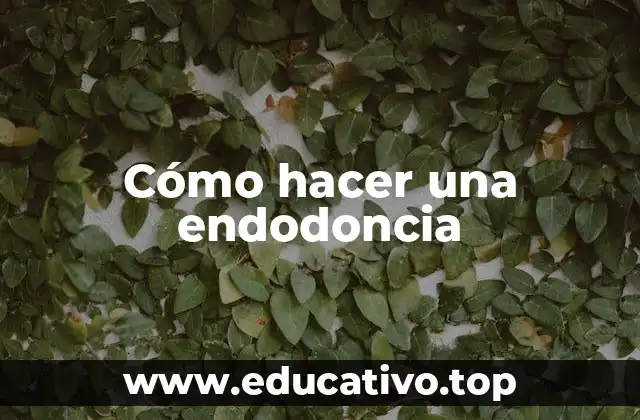 Cómo hacer una endodoncia