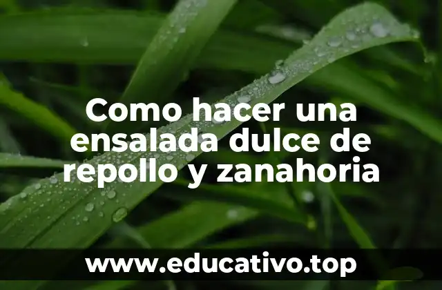 Como hacer una ensalada dulce de repollo y zanahoria