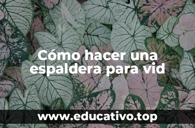 Cómo hacer una espaldera para vid