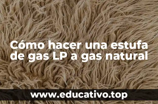 Cómo hacer una estufa de gas LP a gas natural