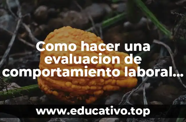 Como hacer una evaluacion de comportamiento laboral que es