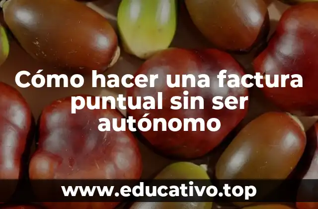 Cómo hacer una factura puntual sin ser autónomo