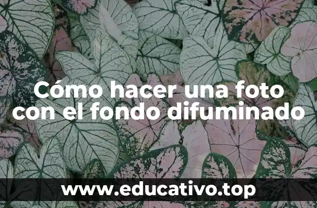 Cómo hacer una foto con el fondo difuminado