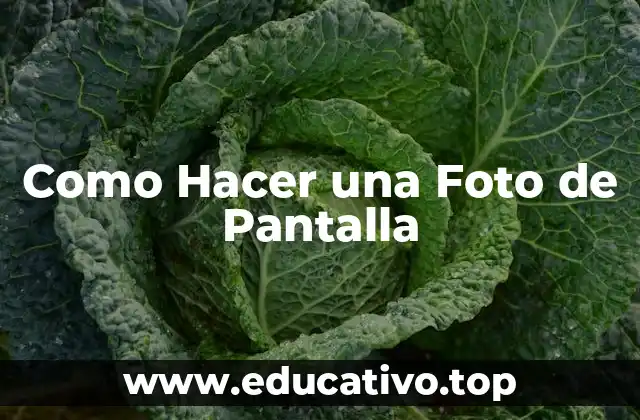 Como Hacer una Foto de Pantalla