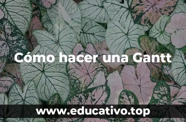 Cómo hacer una Gantt
