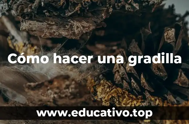 Cómo hacer una gradilla