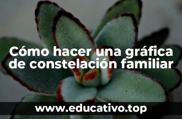 Cómo hacer una gráfica de constelación familiar