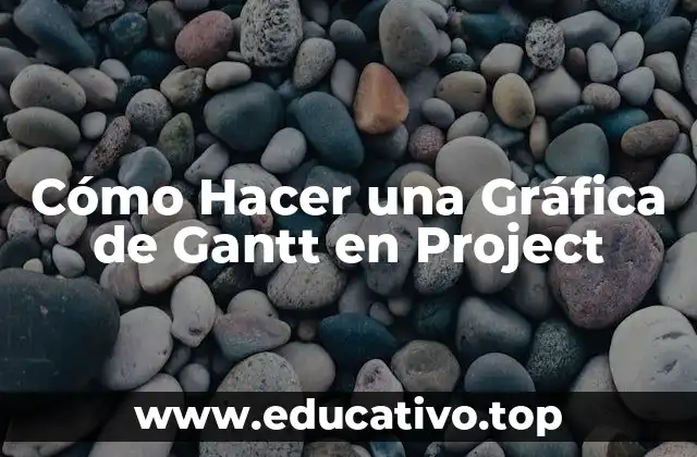 Cómo Hacer una Gráfica de Gantt en Project