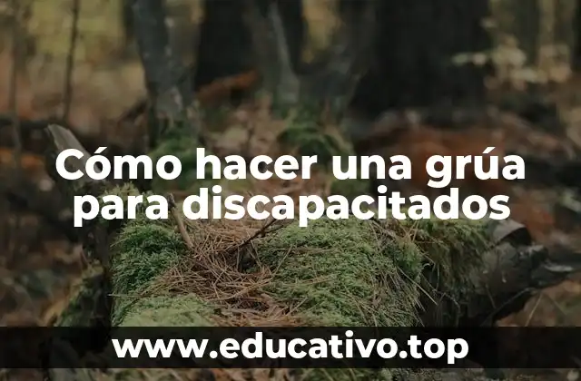 Cómo hacer una grúa para discapacitados