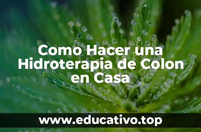 Como Hacer una Hidroterapia de Colon en Casa