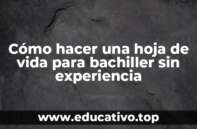 Cómo hacer una hoja de vida para bachiller sin experiencia