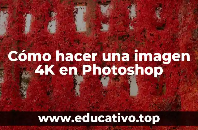 Cómo hacer una imagen 4K en Photoshop