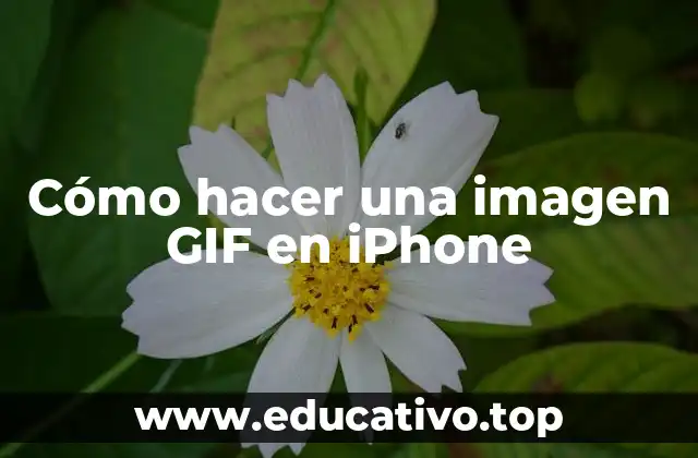 Cómo hacer una imagen GIF en iPhone