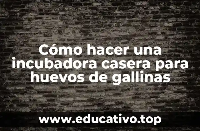 Cómo hacer una incubadora casera para huevos de gallinas