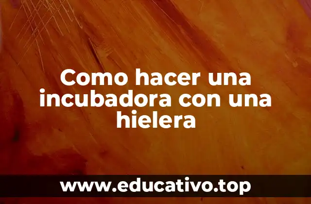 Como hacer una incubadora con una hielera