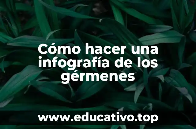 Cómo hacer una infografía de los gérmenes