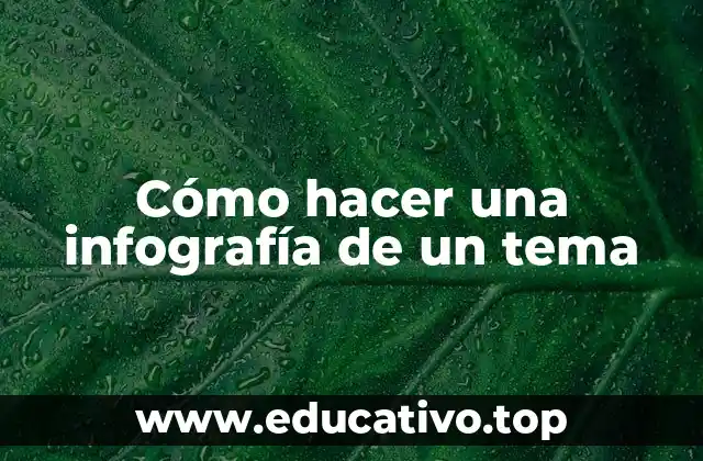 Cómo hacer una infografía de un tema