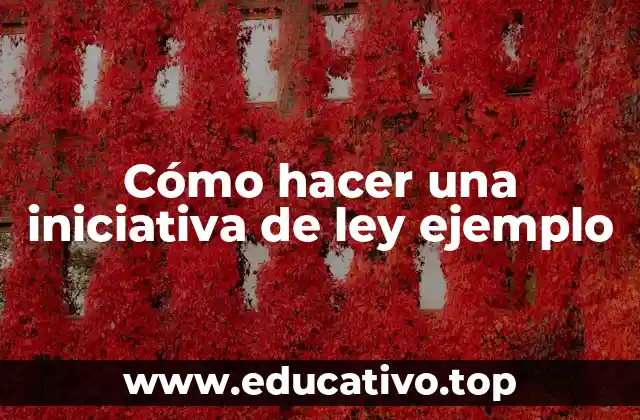 Cómo hacer una iniciativa de ley ejemplo
