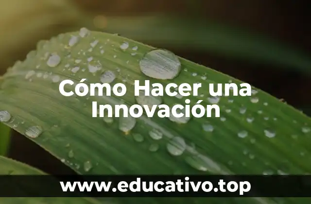 Cómo Hacer una Innovación