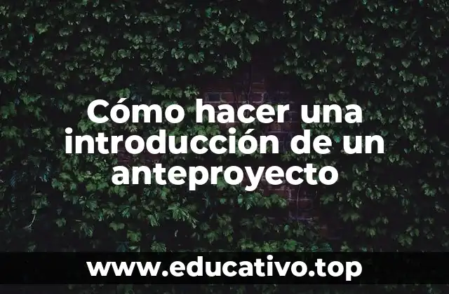 Cómo hacer una introducción de un anteproyecto