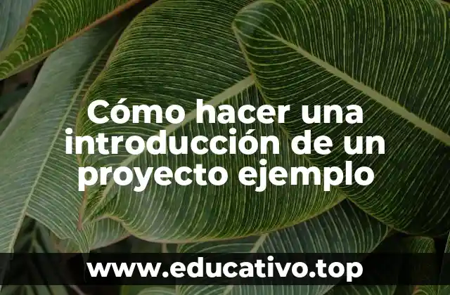Cómo hacer una introducción de un proyecto ejemplo
